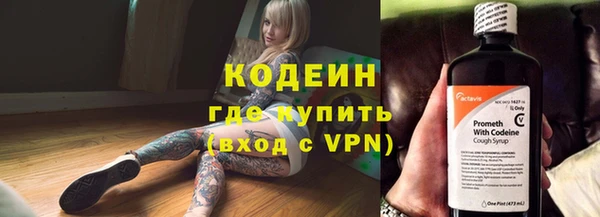 хмурый Осинники