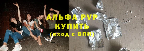хмурый Осинники