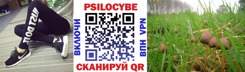 дарнет шоп  Ульяновск  МЕГА зеркало  Псилоцибиновые грибы мухоморы 