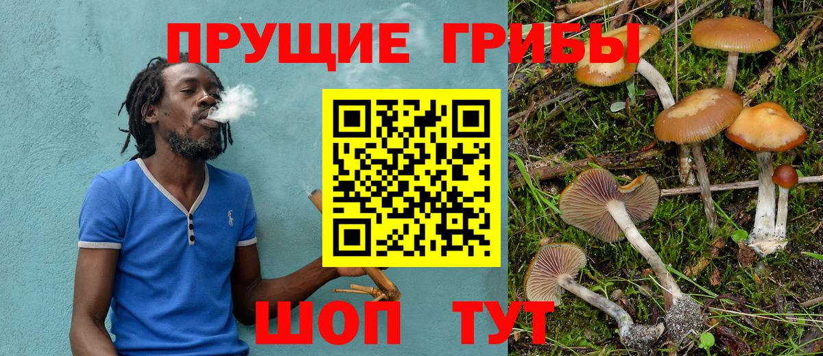 Ульяновск  Галлюциногенные грибы ЛСД  Вход с VPN 