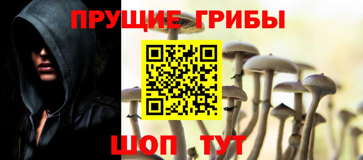 Галлюциногенные грибы Psilocybine cubensis Ульяновск